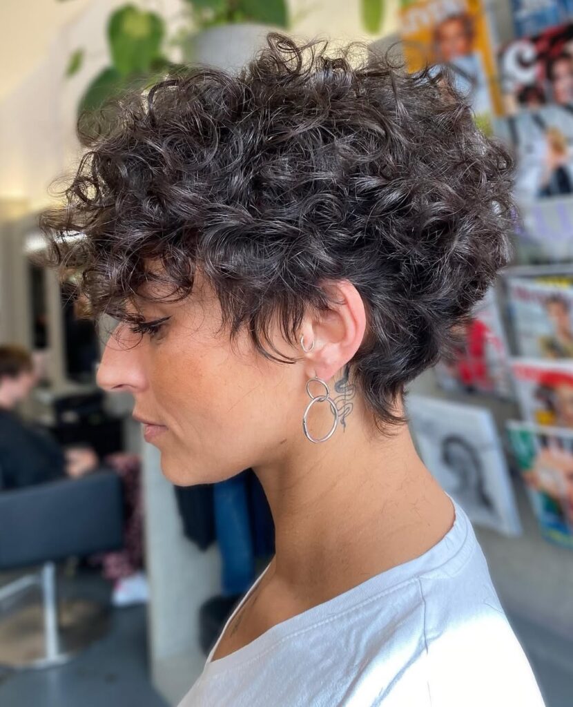 Rounded dark curly pixie haircut with voluminous layered curls and soft texture.