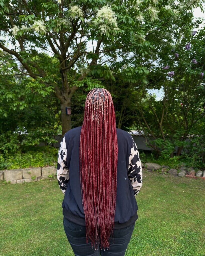 A back view of a woman with very long slim box braids in a deep burgundy red color featuring diamond partings at the scalp.