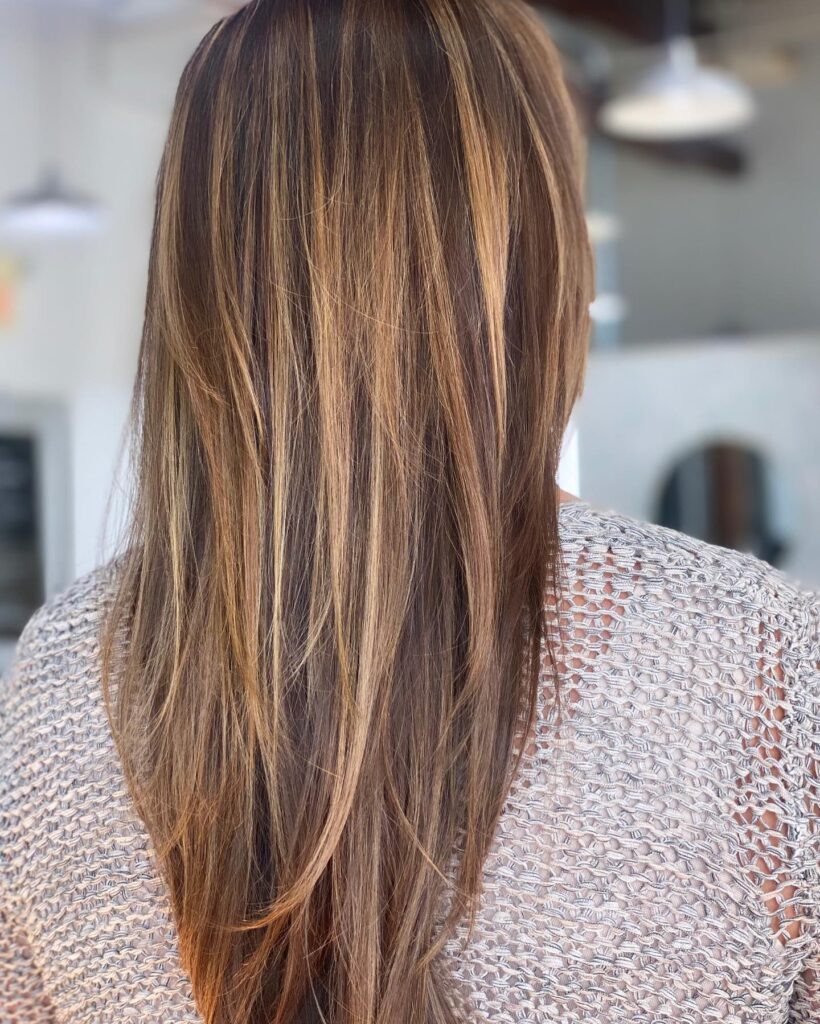 The back view of a woman with long straight brunette hair featuring warm toffee highlights and V-shaped layers.