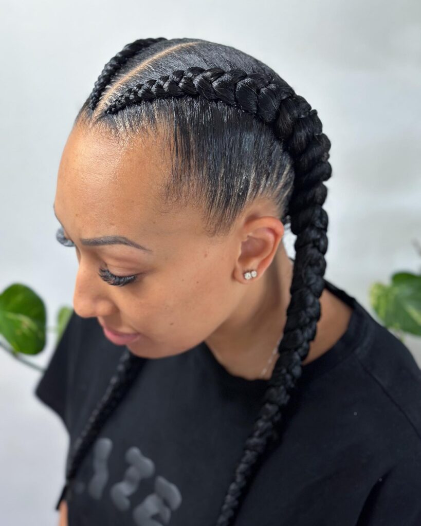 Glossy black jumbo Dutch braids with sleek roots and long braided lengths.