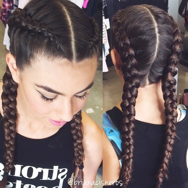 Two long braids starting at the hairline and braided down the back.