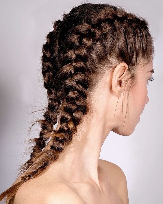 Short brown hair styled into two neat Dutch braids running from front to back.