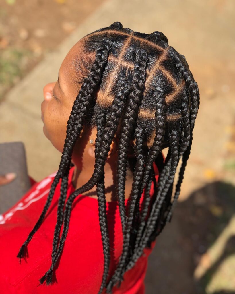 Medium chunky box braids with geometric parting and clean sections.