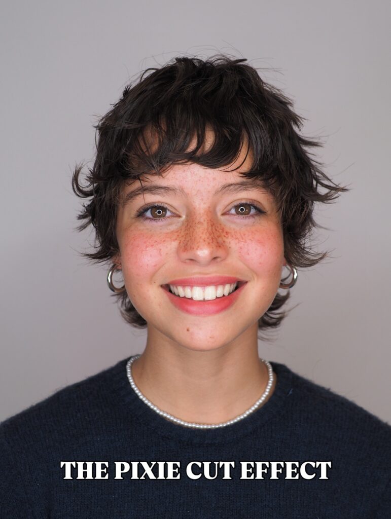 Shaggy brunette pixie haircut with wispy fringe and feathered textured layers.