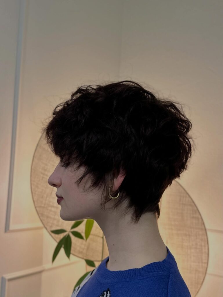 Dark tousled pixie haircut with rounded layers and soft textured volume.