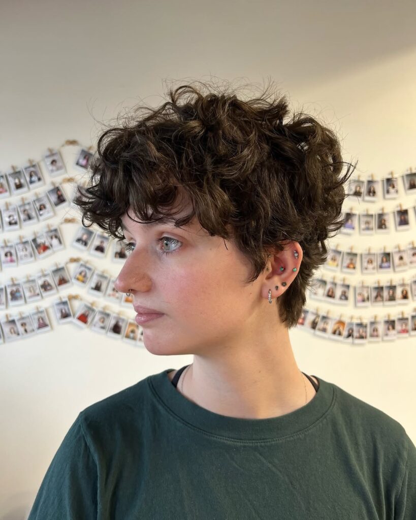 Dark shaggy curly pixie haircut with fluffy layers and soft volume around the crown.