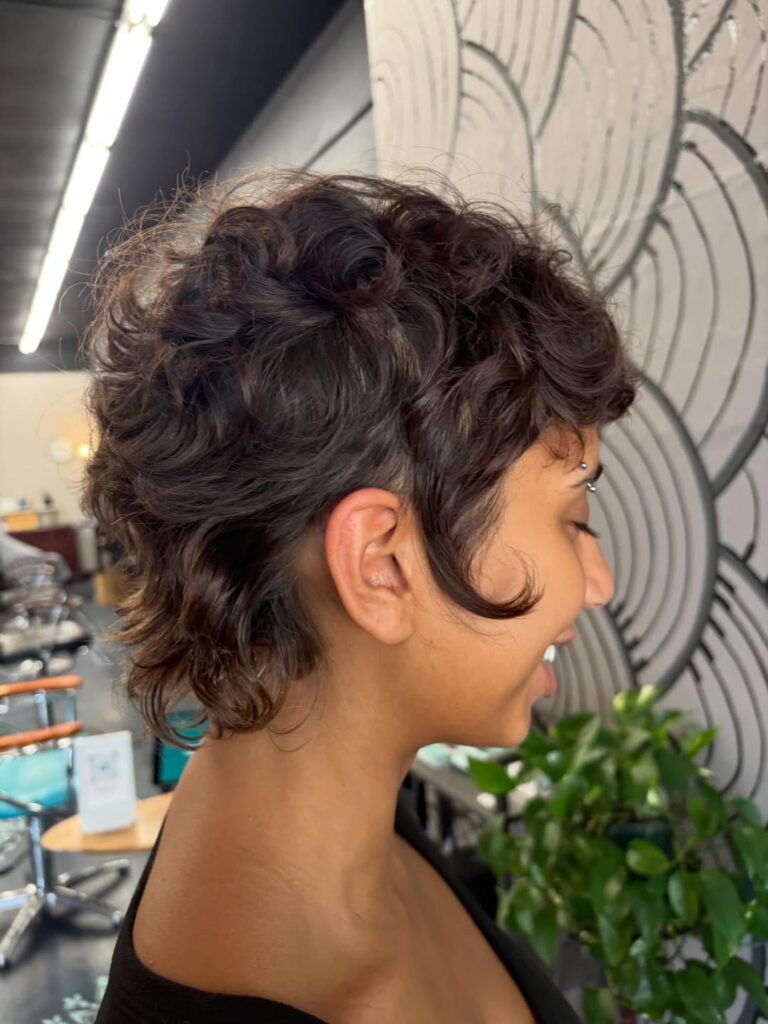 Dark curly pixie mullet with layered texture and longer curls at the back.