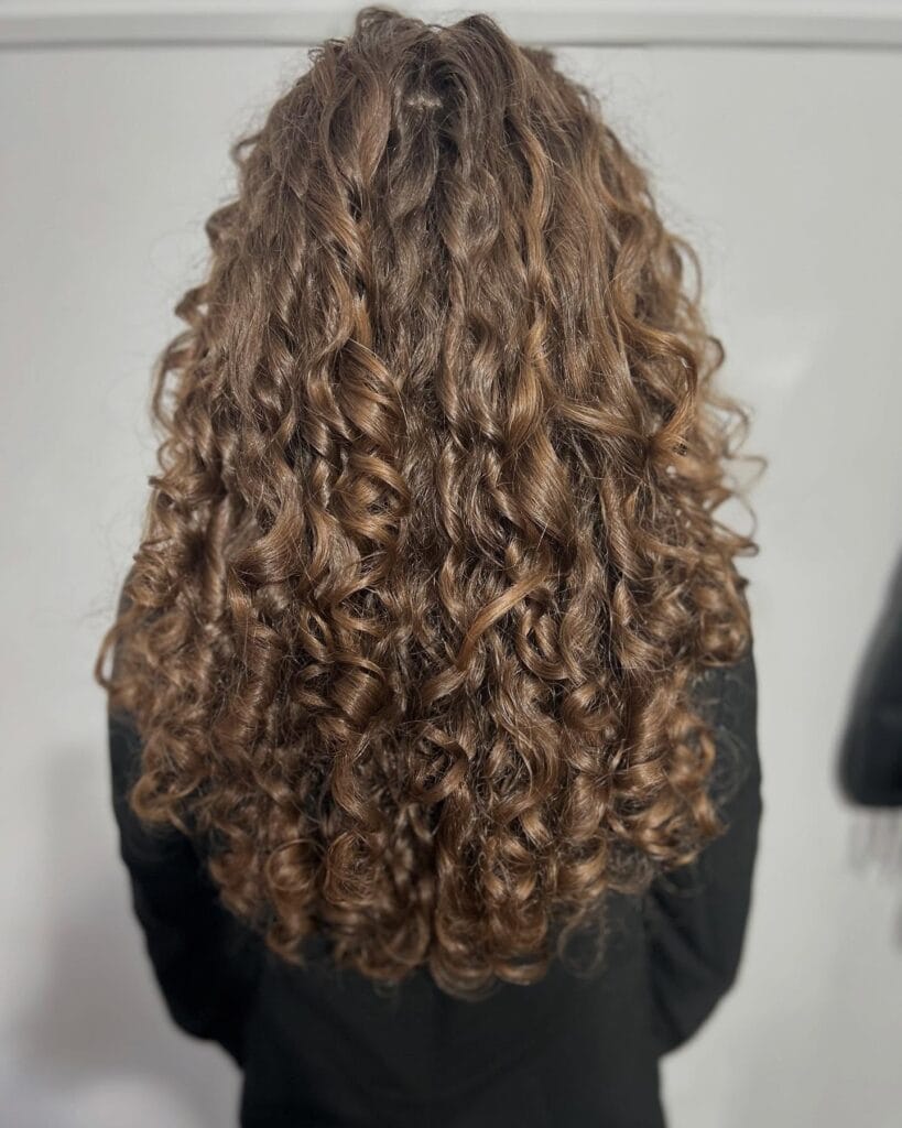 Back view of long, chestnut-brown hair styled in defined, voluminous natural curls with soft layering that adds movement and fullness throughout.
