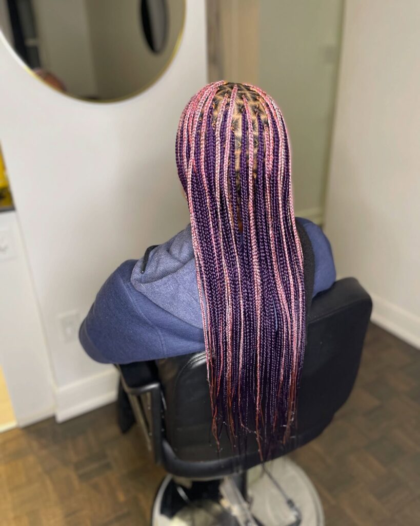 A back view of long thin knotless braids featuring a mix of deep purple and light pink hair colors.