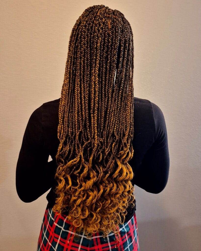 A back view of a person with long box braids that blend from dark brown to honey blonde with voluminous bouncy curls at the ends.