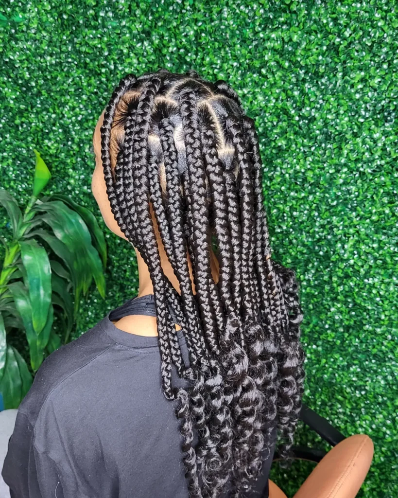 A back view of a person with glossy black box braids that feature thick sections and bouncy curled ends.