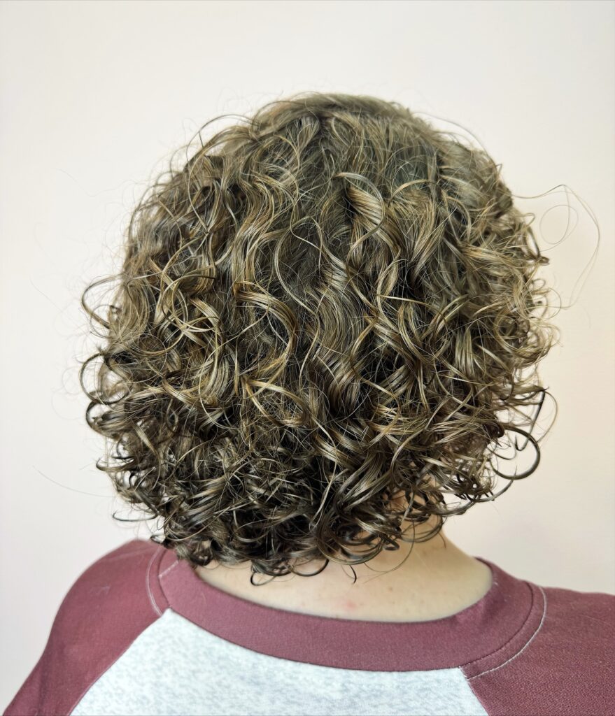 A back view of a woman with a short, ashy brown curly haircut featuring sandy highlights and layered volume.