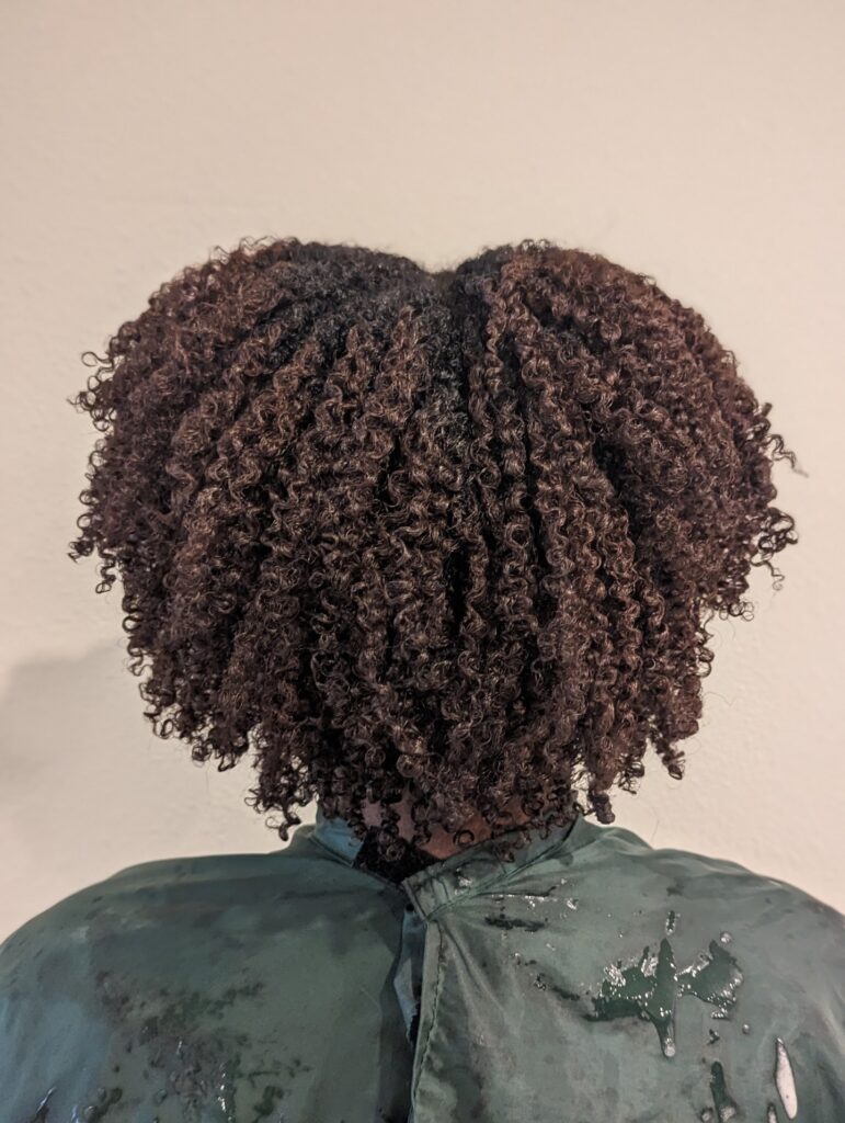 The back view of a woman with a short voluminous hairstyle featuring tight mahogany brown coils and a rounded shape.