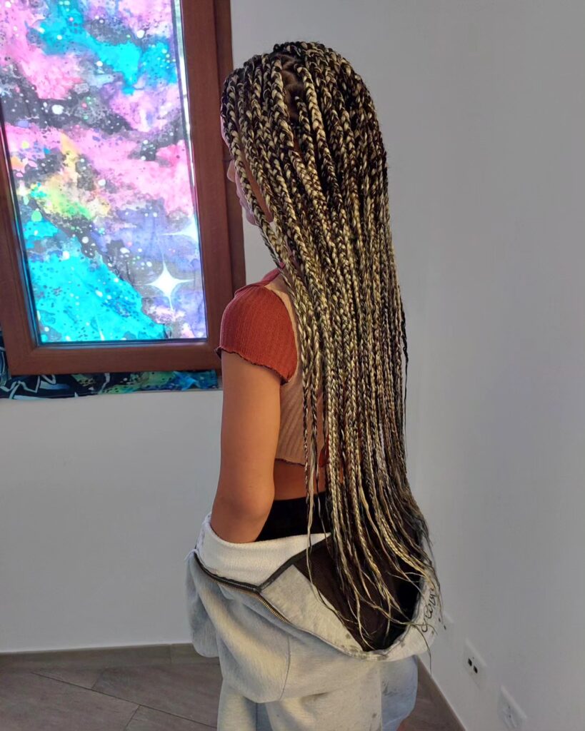 Long blonde and brown box braids styled neatly with full length flowing down the back.