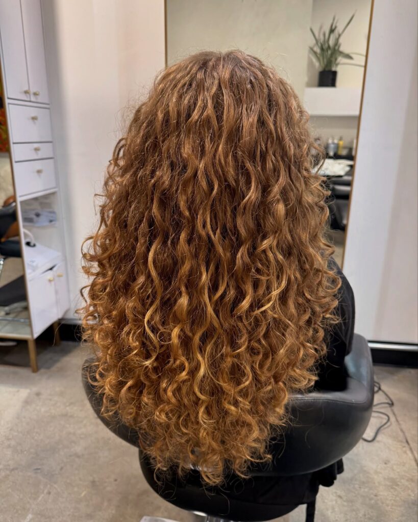 Long layered curly hair with soft definition and warm caramel highlights viewed from the back.