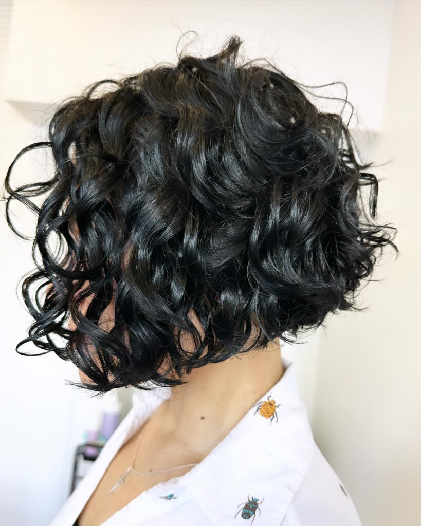 A voluminous black curly bob with tight defined curls and a rounded shape.