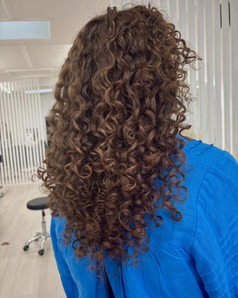 Back view of long curly hair with small braids at the crown and blonde ombre ends.